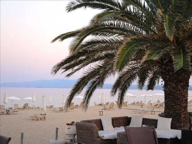 Assa Maris 호텔 Chalkidiki 외부 사진